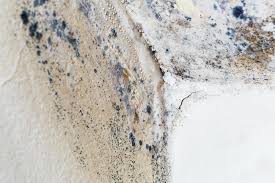 Best Residential Mold Inspection & Testing  in Kirkl, IN